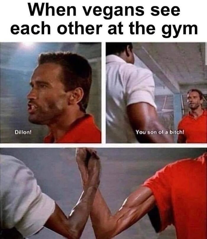 Funny-Gym-Culture-Memes-Doyouevenlift