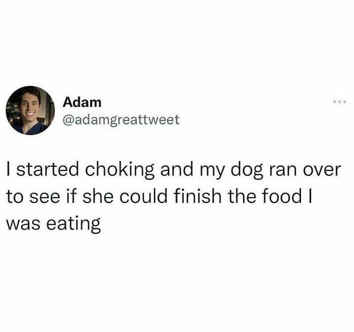 Funny-Dog-Memes-Dogmemesofinsta