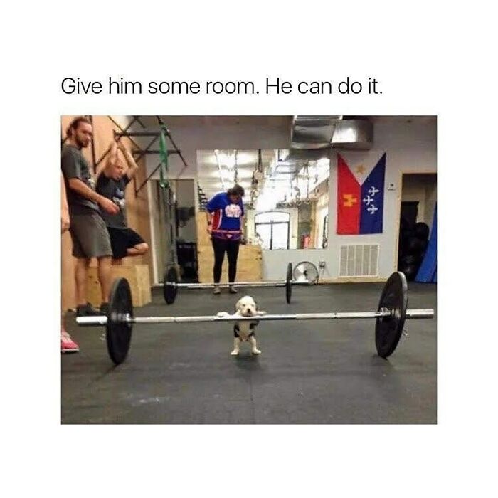 Funny-Gym-Culture-Memes-Doyouevenlift