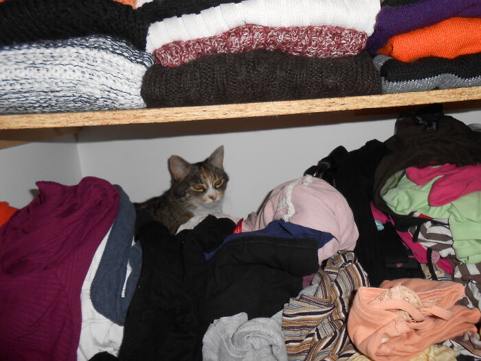 ♥ Kiki In My Closet, The Mess Is Her Work Xd