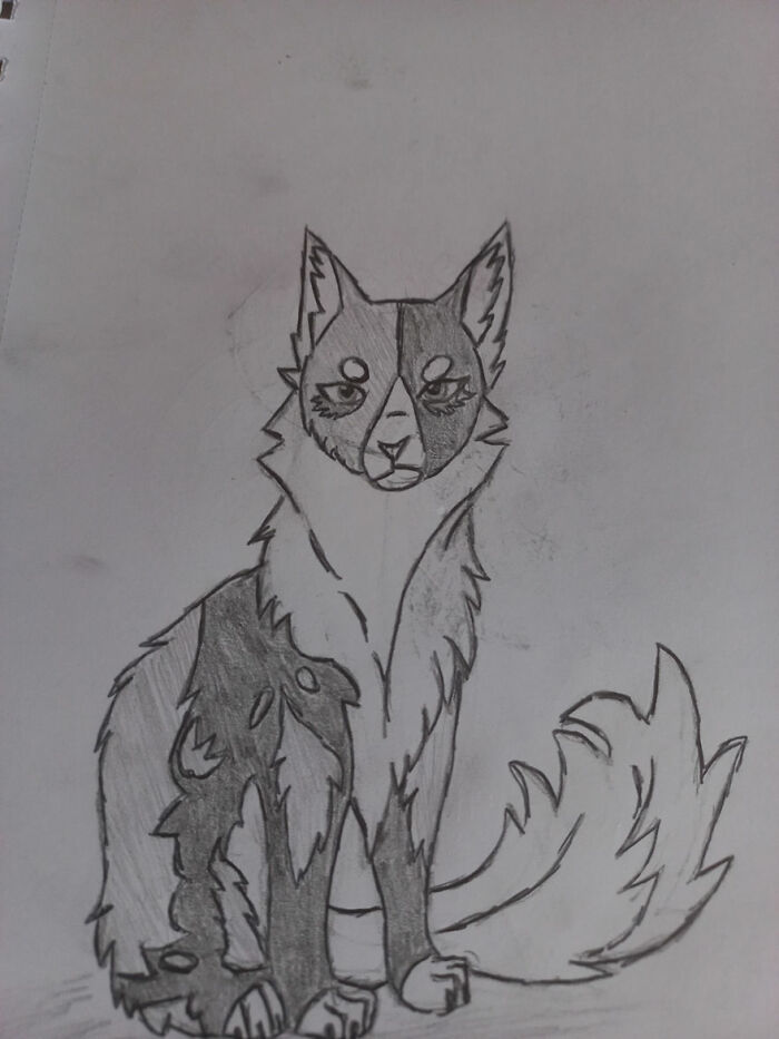 Warrior Cats Fanart