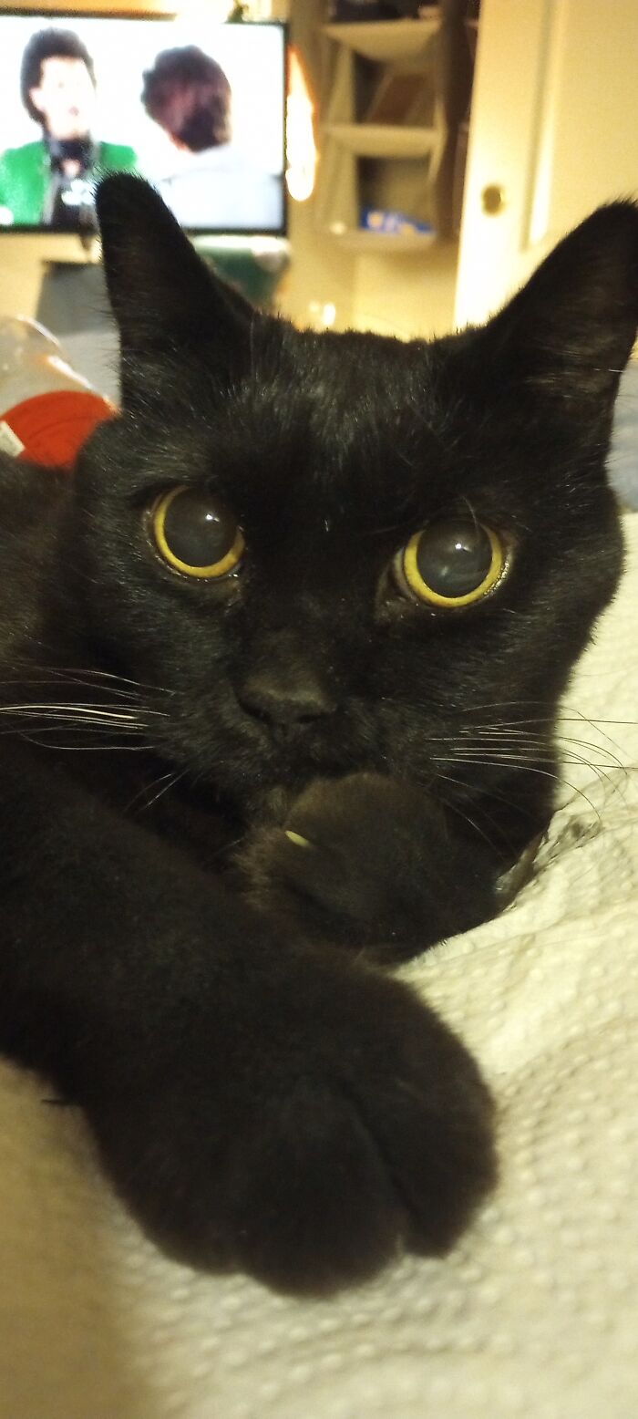 My Sweet, Precious 12 Year Old Baby, Jiji