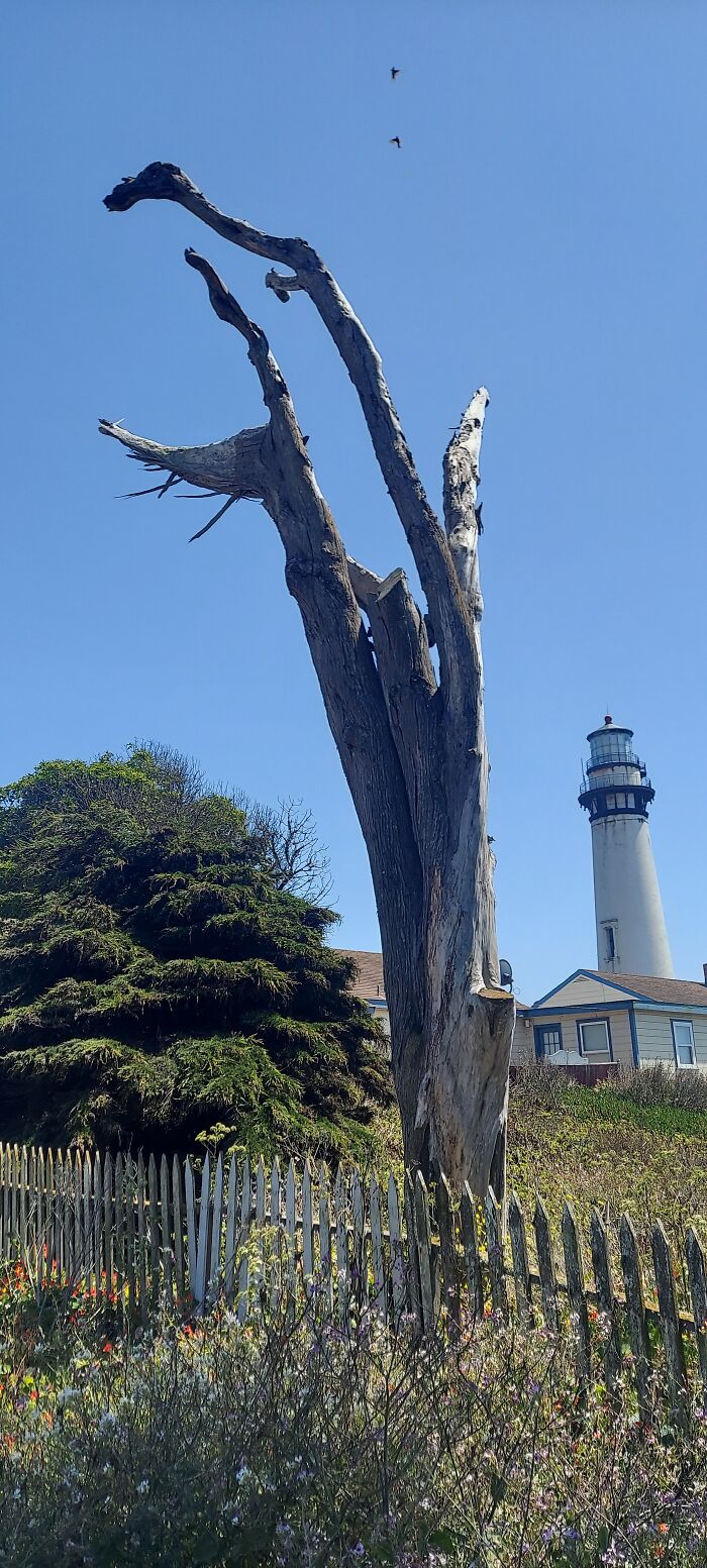 Pigeon Point Lighthouse, Pescadero, California