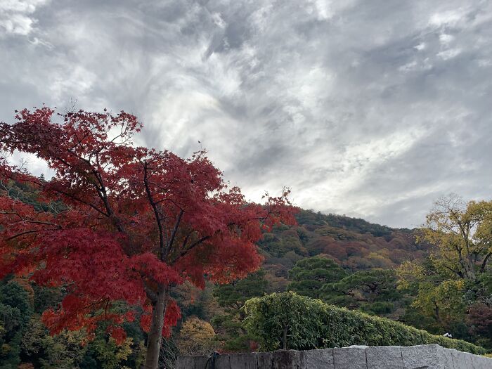 At Arashiyama, Kyoto