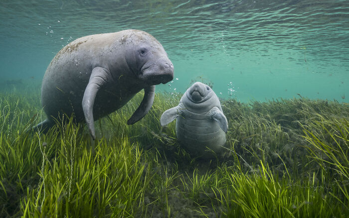 As Clear As Crystal By Jason Gulley