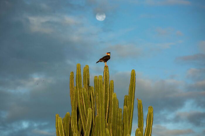 Meet The Captivating Images Of Award-Winning Photographer Antonio Cascio