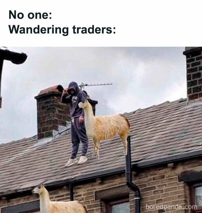 A Minecraft meme featuring a person standing on a roof with two llamas beside them, as if they are in the game Minecraft. The text above the image reads, "No one: Wandering traders:" humorously referencing how wandering traders and their llamas in Minecraft often appear in strange or unexpected locations.