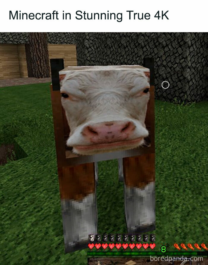 A Minecraft meme showing an in-game screenshot of a cow, but instead of the usual pixelated face, it has a highly realistic cow's face superimposed, creating a humorous contrast. The text at the top reads, "Minecraft in Stunning True 4K," jokingly suggesting that this realistic texture is an upgrade to the game's graphics. The game interface with health and hunger bars is visible at the bottom.