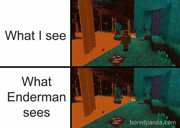 A Minecraft meme with two panels. The top panel is labeled "What I see," showing a typical view of the Nether dimension in Minecraft, with lava, Nether blocks, and a player character. The bottom panel is labeled "What Enderman sees," showing the same scene but with inverted colors, referencing the fact that Endermen in Minecraft are known to see the world differently, with a visual filter that changes the appearance of their surroundings.