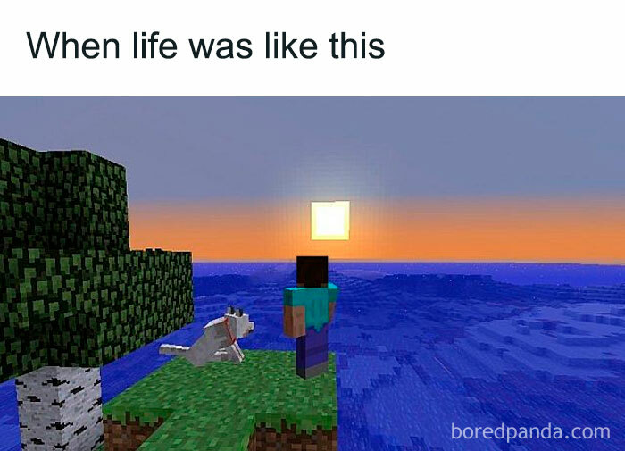 A Minecraft meme featuring an in-game scene of a player character, Steve, standing on a grassy cliff beside a loyal Minecraft dog, looking out at a pixelated sunset over the ocean. The text above reads, "When life was like this," nostalgically referencing the simpler, peaceful moments in Minecraft when players could relax and enjoy the game's tranquil environment.