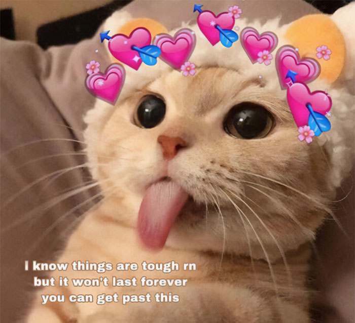 A motivational meme featuring a cute cat with hearts around its head and its tongue out. The text reads, "I know things are tough rn but it won't last forever, you can get past this."