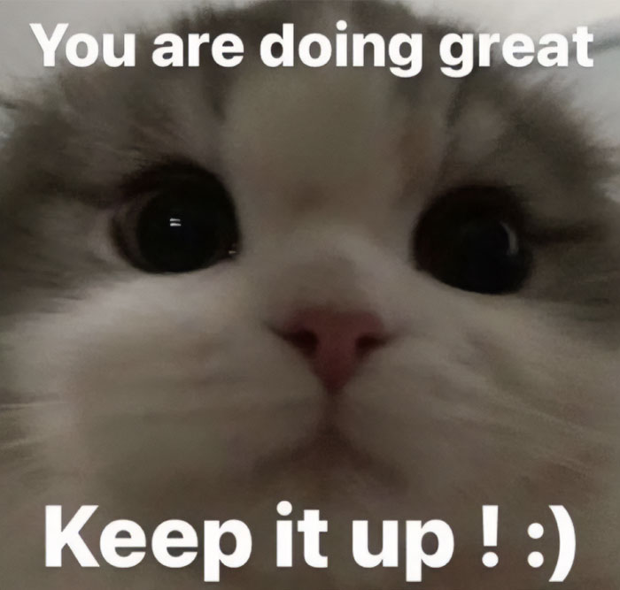 A motivational meme featuring a close-up of a cat's face with text that reads, "You are doing great. Keep it up! :)"