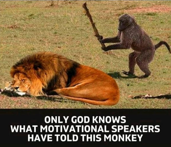 A motivational meme showing a monkey holding a stick, approaching a sleeping lion. The text below reads, "Only God knows what motivational speakers have told this monkey."