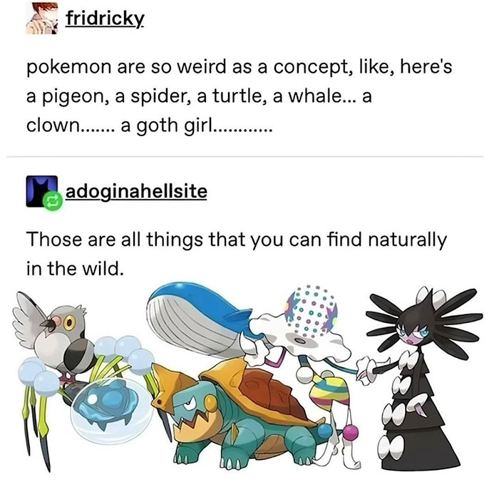 A Pokemon meme featuring a humorous Tumblr exchange. The first user, "fridricky," comments on the strange variety of Pokemon, saying, "Pokemon are so weird as a concept, like, here's a pigeon, a spider, a turtle, a whale... a clown... a goth girl..." The second user, "adoginahellsite," responds with, "Those are all things that you can find naturally in the wild." Below, there are images of various Pokemon: Pidove (pigeon), Galvantula (spider), Drednaw (turtle), Wailord (whale), Mr. Mime (clown), and Gothitelle (goth girl). The meme humorously highlights the eclectic mix of creatures that Pokemon are based on, blending mundane and fantastical elements.