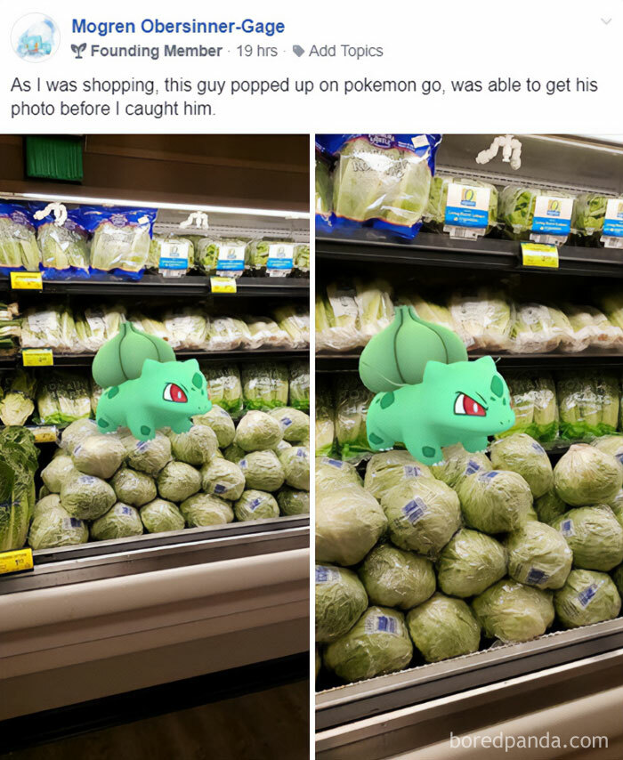 A Pokemon meme showing a Facebook post by a user named "Mogren Obersinner-Gage." The post reads, "As I was shopping, this guy popped up on Pokemon Go, was able to get his photo before I caught him." Below the text are two images taken in a grocery store produce section. In both images, a Bulbasaur from the game Pokemon Go is superimposed on a pile of lettuce, humorously blending into the surroundings. The meme plays on the idea of Bulbasaur, a plant-based Pokemon, appearing naturally among leafy greens in the store.