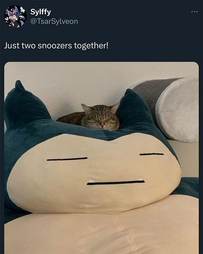 A Pokemon meme featuring a Twitter post by a user named "Sylffy" with the handle "@TsarSylveon." The text reads, "Just two snoozers together!" Below the text is an image of a cat sleeping next to a large Snorlax plush toy, both appearing relaxed and cozy, humorously comparing the cat's sleeping position to the famously lazy Pokemon, Snorlax.