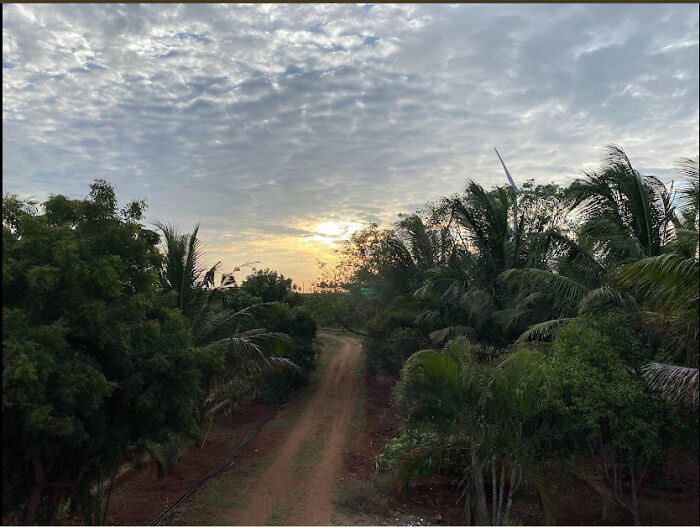 The View From My House; Humid, Populated, Colourful