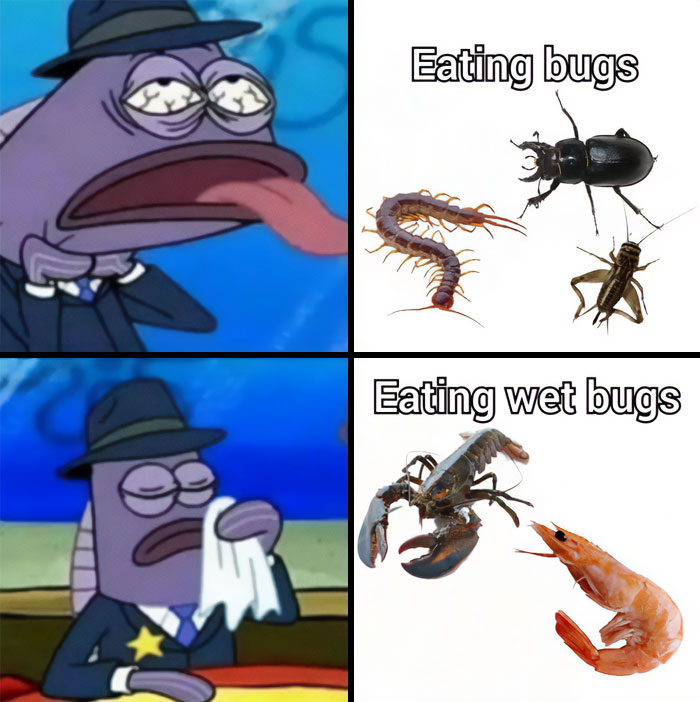 A "Shrimps is bugs" meme featuring a two-panel comparison. The top left panel shows a cartoon fish character looking disgusted with their tongue out, next to the text "Eating bugs" and images of land bugs, including a centipede, beetle, and cricket. The bottom left panel shows the same fish character wiping their mouth with a handkerchief, appearing more satisfied, next to the text "Eating wet bugs" and images of seafood, including a lobster and shrimp. The meme humorously compares eating land bugs with eating seafood, implying they're essentially the same.