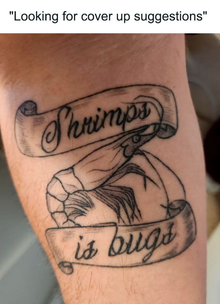 A "Shrimps is bugs" meme showing a close-up of a tattoo featuring a shrimp with two scroll banners, one reading "Shrimps" and the other reading "is bugs." Above the tattoo, the text reads, "Looking for cover up suggestions," humorously mocking the idea of covering up this unique tattoo, which has become iconic within the "shrimps is bugs" meme community. The tattoo design is detailed, but the caption playfully suggests it might be regretted.