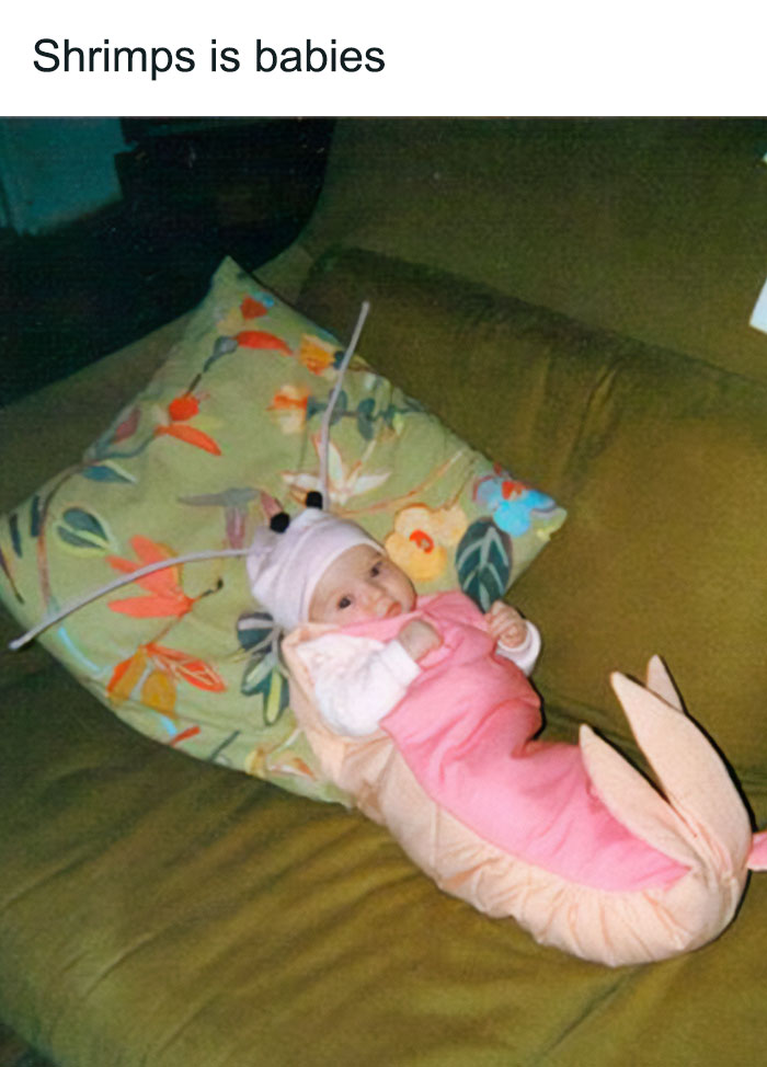 A humorous "Shrimps is bugs" meme featuring a baby dressed in a shrimp costume lying on a couch with floral pillows. The costume is pink and beige, resembling a shrimp's body, with antennae sticking out from the baby's hat. The text above the image reads "Shrimps is babies," playfully altering the "shrimps is bugs" meme to add a cute and whimsical twist.