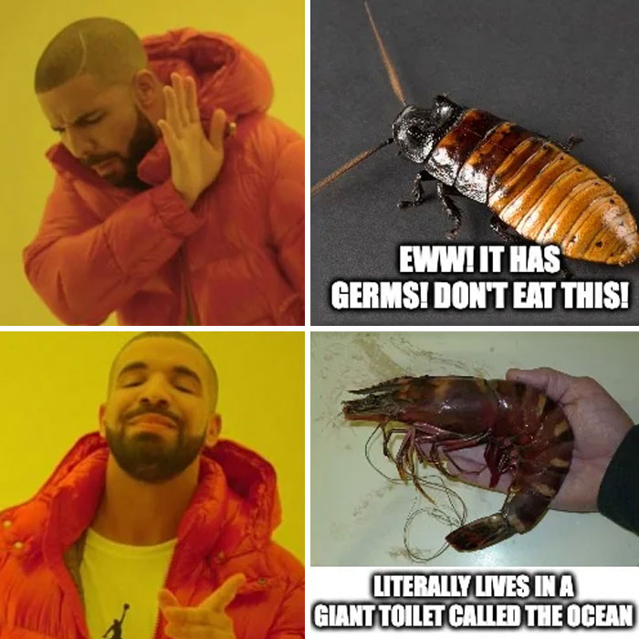 A "Shrimps is bugs" meme in the style of the popular Drake format. The top left image shows Drake rejecting something with his hand, paired with an image of a cockroach on the top right and text that reads, "Eww! It has germs! Don’t eat this!" The bottom left image shows Drake approving with a smile, and next to it is a picture of a large shrimp, with text reading, "Literally lives in a giant toilet called the ocean." The meme humorously compares how people perceive land bugs versus seafood, highlighting the irony of food preferences.