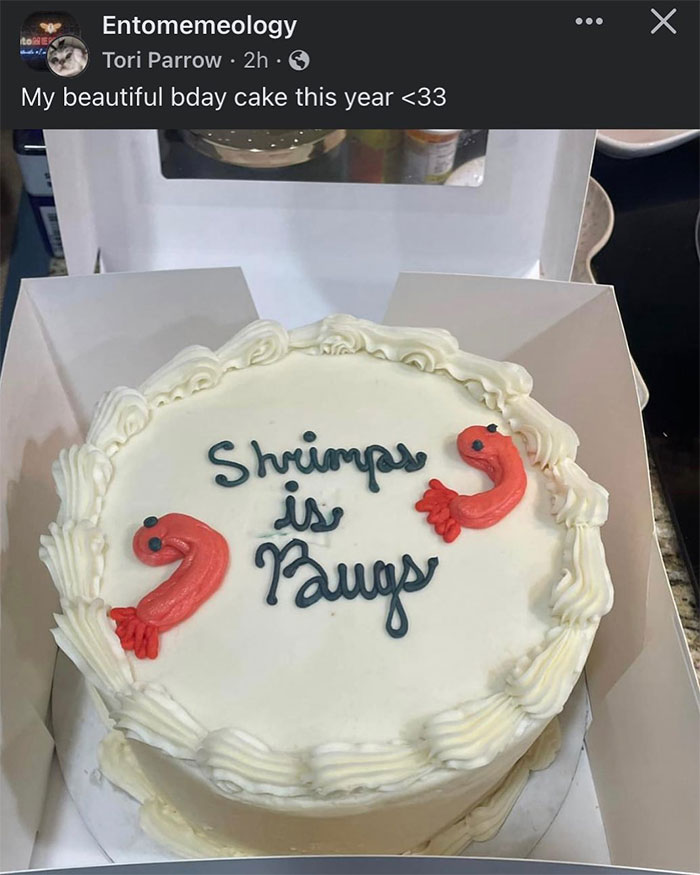 A Facebook post from the user "Tori Parrow" shows a birthday cake with white frosting, decorated with two shrimp figures and the text "Shrimps is Bugs" written in blue icing. The caption above the image reads, "My beautiful bday cake this year <33," expressing their love for the humorous cake. The cake ties into the "Shrimps is bugs" meme theme in a playful and celebratory way.