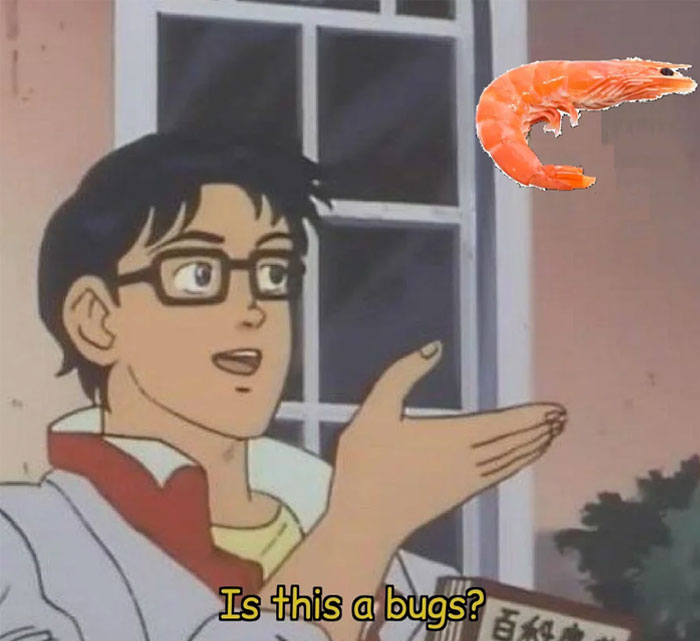 A "Shrimps is bugs" meme using the popular "Is this a pigeon?" anime template. In the image, a character with glasses is holding out his hand and looking at a shrimp instead of a butterfly. The caption at the bottom reads, "Is this a bugs?" humorously playing on the idea that shrimp are being equated with bugs in a literal and comedic way, aligning with the "shrimps is bugs" meme concept.