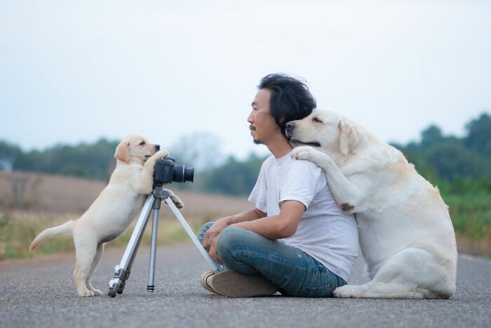 Man Shares Hilariously Cute Photos Of Driving With And Being Driven By His Adorable Dogs