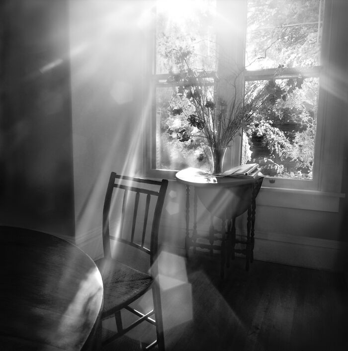 Fine Art Category Winner: "Morning Light" By David Zlotky