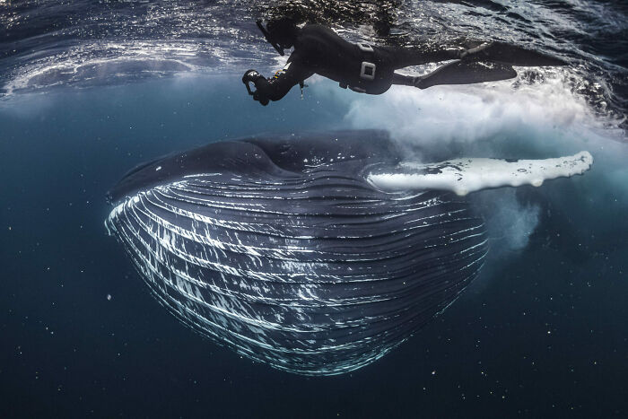 Adventure Photographer Of The Year, Finalist Tobias Friedrich