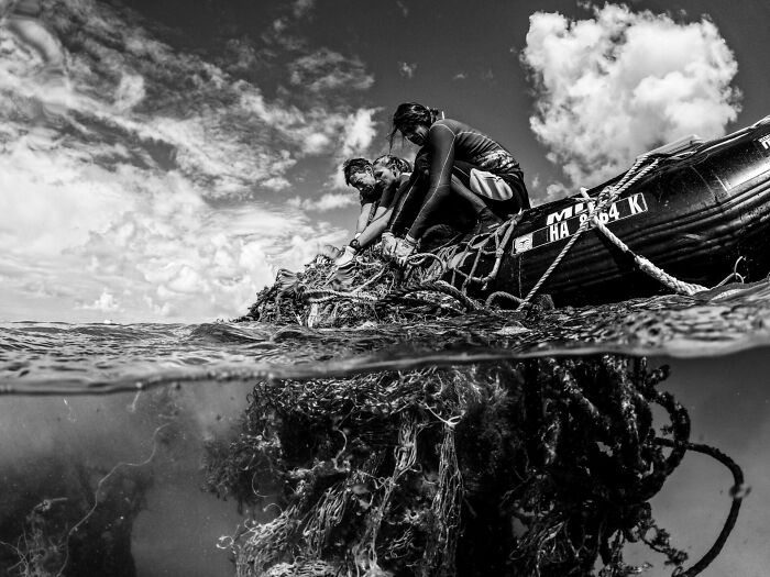 Conservation (Impact) Photographer Of The Year, 3rd Place Winner Andrew Sullivan-Haskins