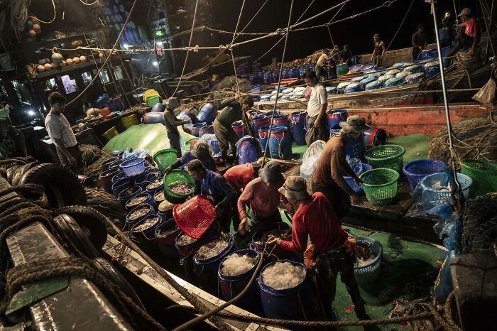 Conservation (Impact) Photographer Of The Year, Finalist Sirachai Arunrugstichai