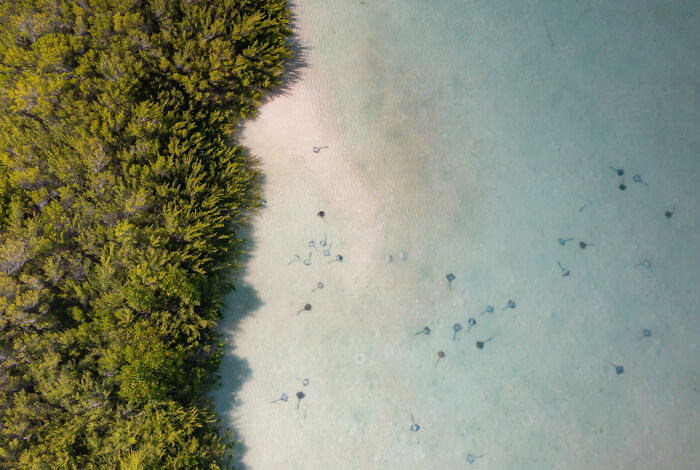 Conservation (Hope) Photographer Of The Year, Finalist Dillys Pouponeau