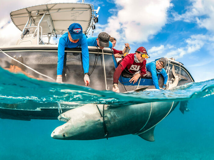 Human Connection Award: People & Planet Ocean, Finalist Tanya Houppermans