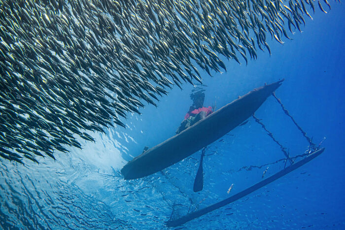 Human Connection Award: People & Planet Ocean, Finalist Noam Kortler