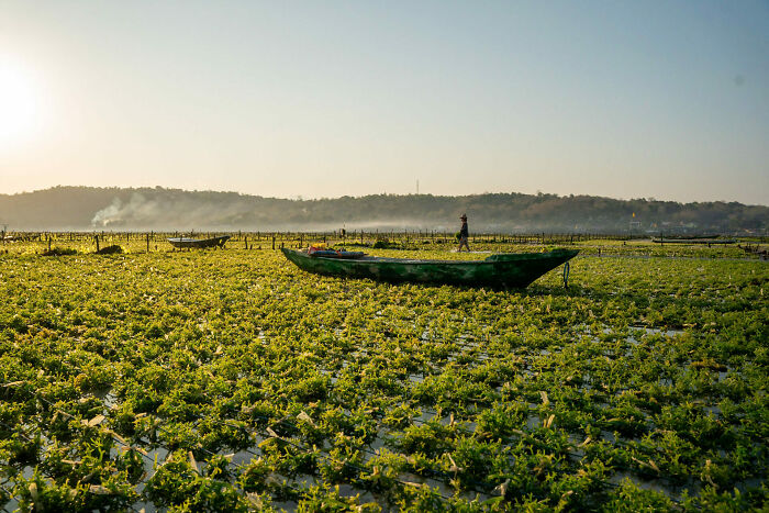 Human Connection Award: People & Planet Ocean, Finalist Pier Nirandara