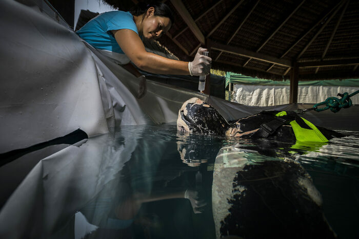 Human Connection Award: People & Planet Ocean, Finalist Joao Rodrigues