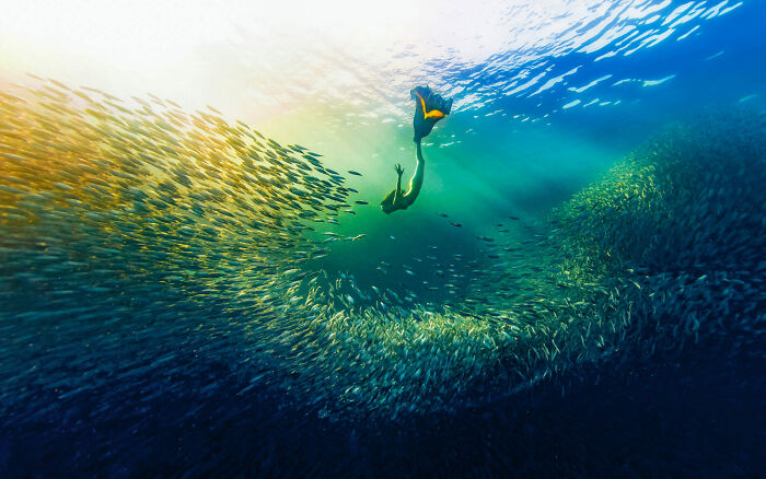 Human Connection Award: People & Planet Ocean, 3rd Place Winner Yue Hongjun