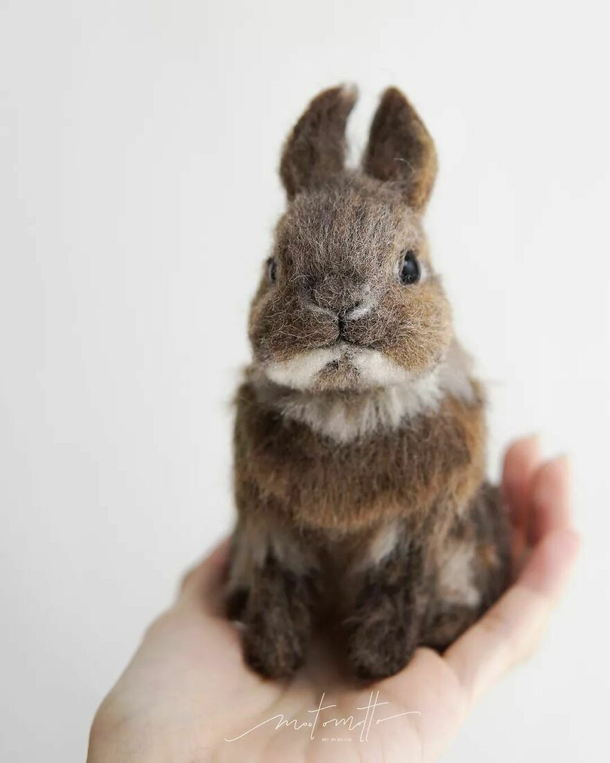 This Artist Makes Hyper-Realistic Wool Animal Sculptures, Here Are Her New Best Works