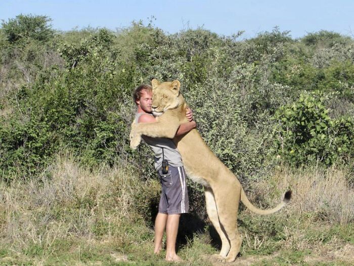 Unique Bond Formed Between A Lioness And Her Caregiver Continues To Grow