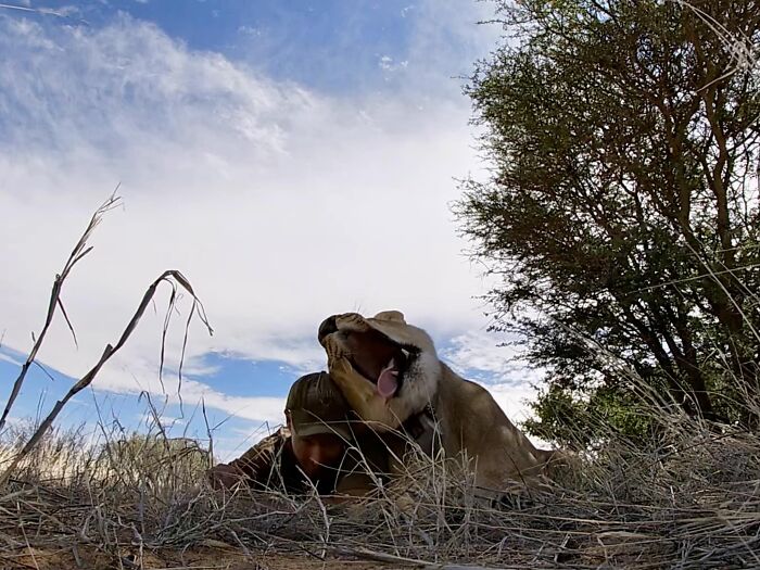 A Beautiful Friendship Between This Caregiver And Lioness That Started 13 Years Ago