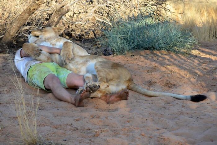 Unique Bond Formed Between A Lioness And Her Caregiver Continues To Grow