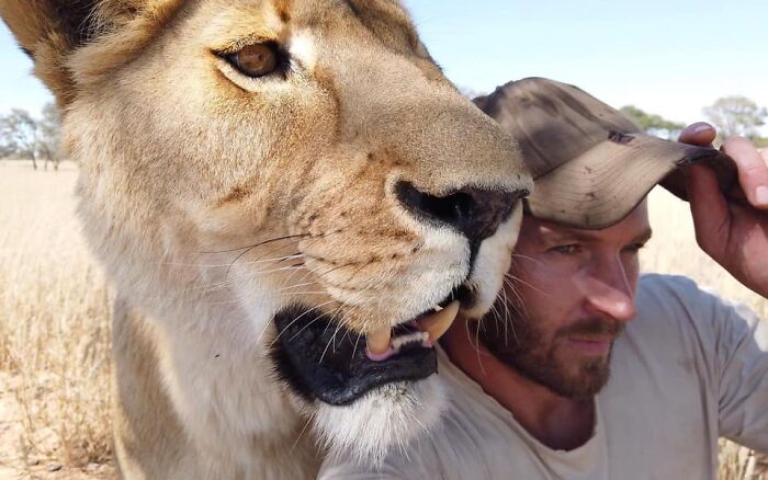 A Beautiful Friendship Between This Caregiver And Lioness That Started 13 Years Ago