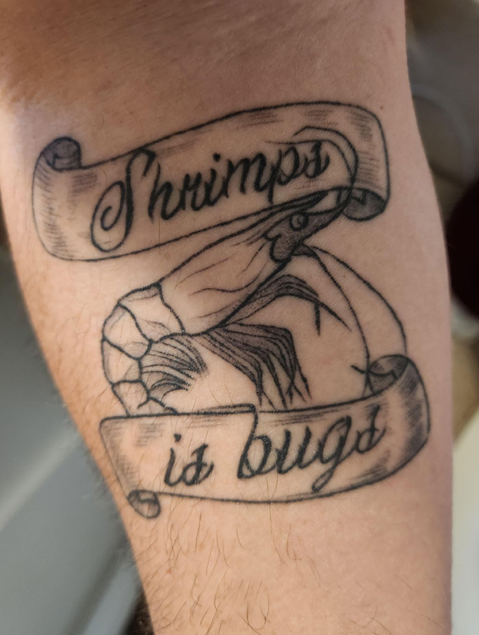 A detailed tattoo of a shrimp in the center of the image with two scroll banners above and below it. The top banner reads "Shrimps," and the bottom banner reads "is bugs," both in a cursive script. The tattoo artist used fine linework to depict the shrimp and scrolls, giving it a classic, old-school tattoo style while maintaining the humor of the "shrimps is bugs" phrase.