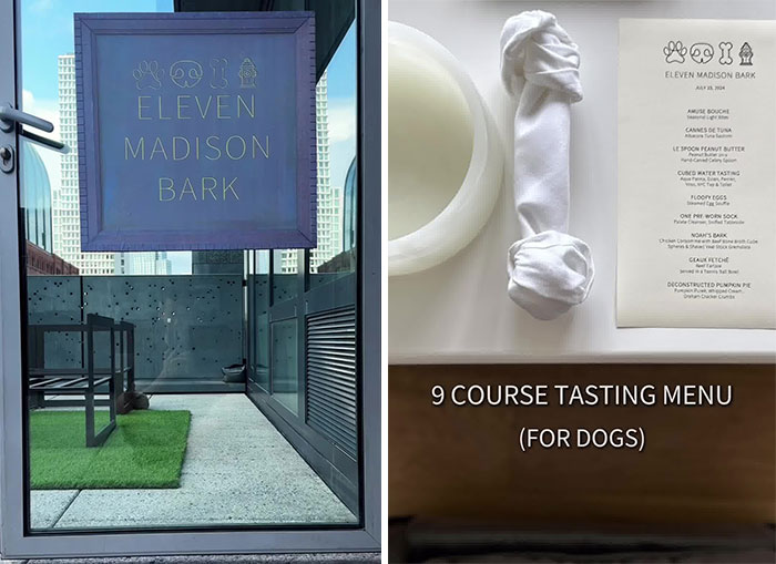 Owner Treats Her Dog To A 9-Course Meal At 'Eleven Madison Bark' For His 11th Birthday