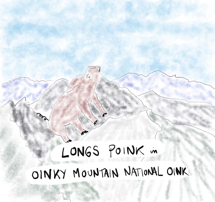 I've Actually Climbed Longs Poink. It Looks Just Like That, At 14,259', After You've Climbed Into That Thin Air