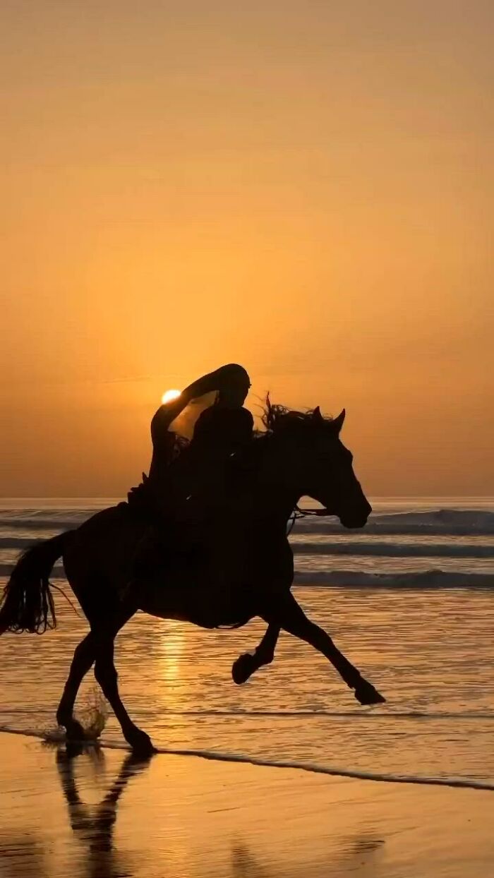 The Timeless Bond Between Horse And Human.