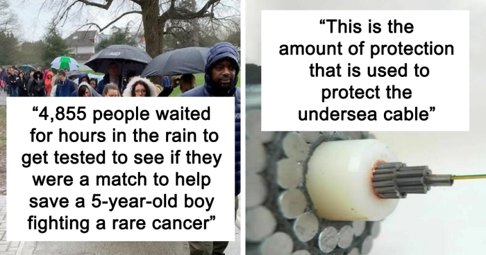 91 Of The Most Interesting And Fascinating Facts Shared On “Amazing Facts”