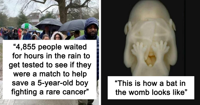 91 Posts From The “Amazing Facts” IG Account That May Teach You Something New