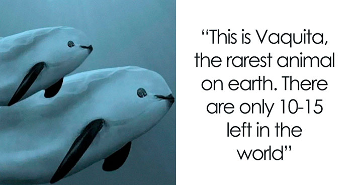 50 Of The Most Interesting And Fascinating Facts Shared On “Amazing Facts”